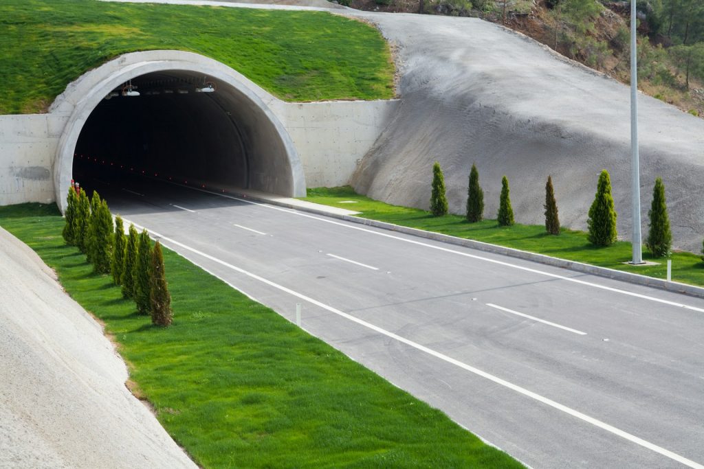 Green roads with growing plants